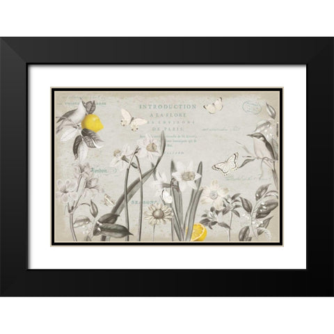 Citron Curiosities I Gray Black Modern Wood Framed Art Print with Double Matting by Pertiet, Katie