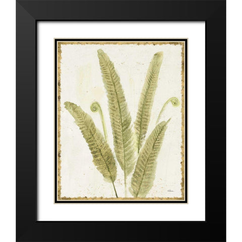 Forest Ferns II v2 Antique Black Modern Wood Framed Art Print with Double Matting by Hristova, Albena