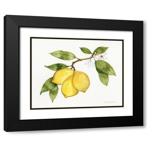 Citrus Garden I Black Modern Wood Framed Art Print with Double Matting by McKenna, Kathleen Parr