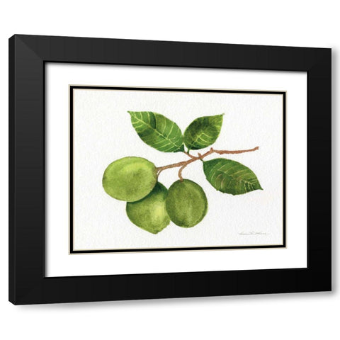Citrus Garden II Black Modern Wood Framed Art Print with Double Matting by McKenna, Kathleen Parr