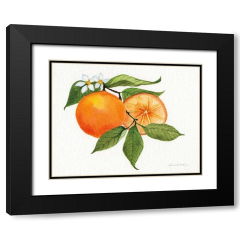 Citrus Garden V Black Modern Wood Framed Art Print with Double Matting by McKenna, Kathleen Parr