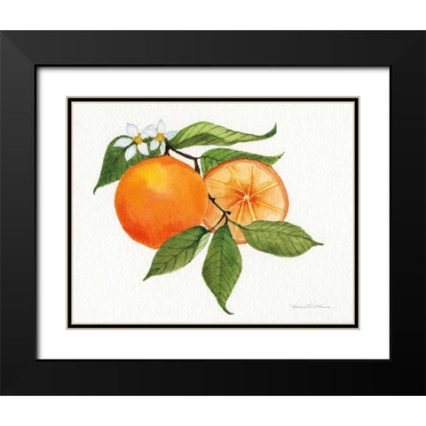 Citrus Garden V Black Modern Wood Framed Art Print with Double Matting by McKenna, Kathleen Parr