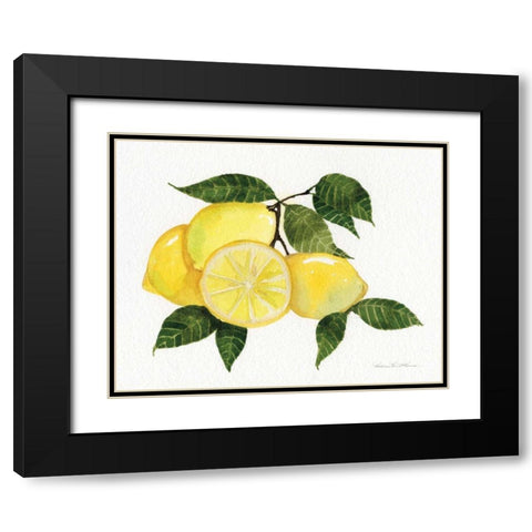 Citrus Garden VI Black Modern Wood Framed Art Print with Double Matting by McKenna, Kathleen Parr