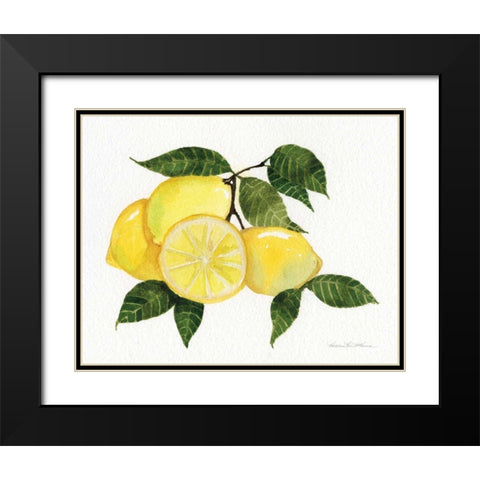 Citrus Garden VI Black Modern Wood Framed Art Print with Double Matting by McKenna, Kathleen Parr