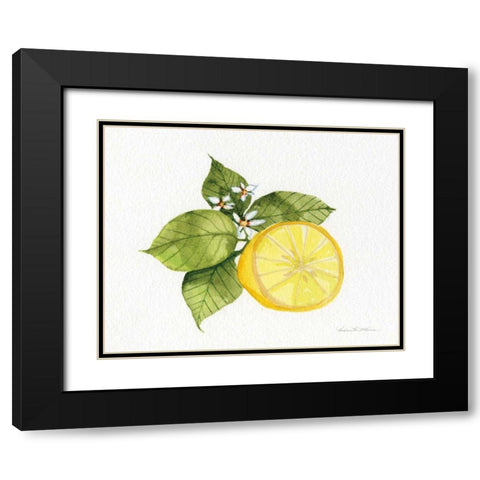 Citrus Garden IX Black Modern Wood Framed Art Print with Double Matting by McKenna, Kathleen Parr