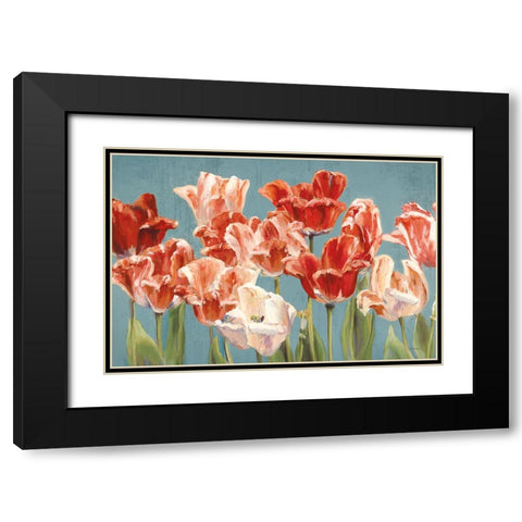 Crimson Tulips on Blue Black Modern Wood Framed Art Print with Double Matting by Hageman, Marilyn