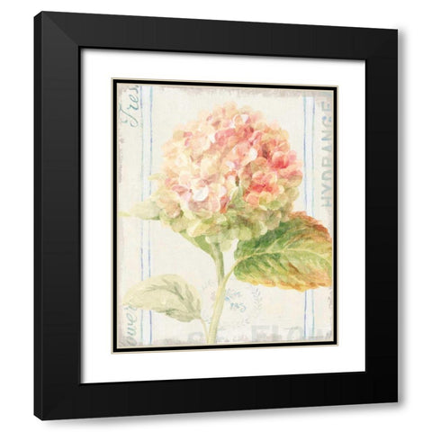 Floursack Florals VI Black Modern Wood Framed Art Print with Double Matting by Nai, Danhui