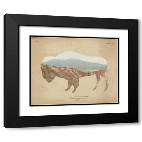 American Southwest Buffalo Distressed Black Modern Wood Framed Art Print with Double Matting by Wild Apple Portfolio