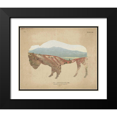 American Southwest Buffalo Distressed Black Modern Wood Framed Art Print with Double Matting by Wild Apple Portfolio