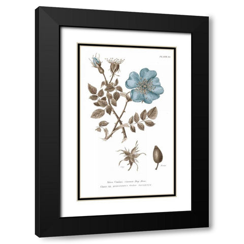 Conversations on Botany IV on White with Blue Black Modern Wood Framed Art Print with Double Matting by Wild Apple Portfolio