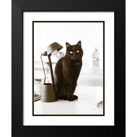 Lights Cat Action Black Modern Wood Framed Art Print with Double Matting by Dratfield, Jim
