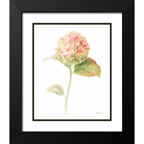 Floursack Florals on White V Black Modern Wood Framed Art Print with Double Matting by Nai, Danhui