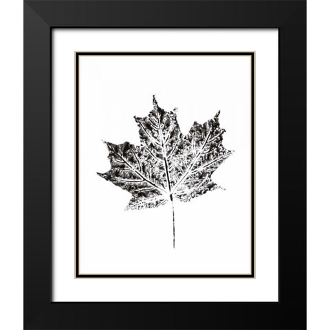 Harvest Sentiments I BW no Words Black Modern Wood Framed Art Print with Double Matting by Hershey, Moira