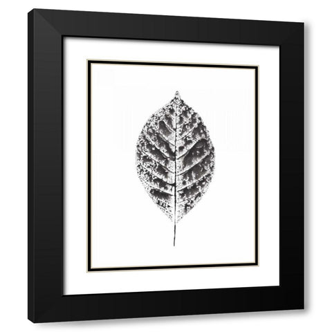 Harvest Sentiments V BW no Words Black Modern Wood Framed Art Print with Double Matting by Hershey, Moira