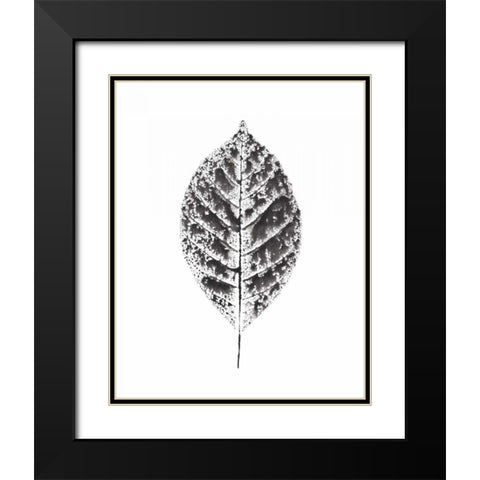 Harvest Sentiments V BW no Words Black Modern Wood Framed Art Print with Double Matting by Hershey, Moira