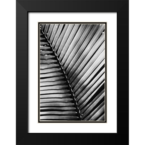 Palm Frond I Black Modern Wood Framed Art Print with Double Matting by Van Swearingen, Debra