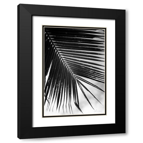 Palm Frond II Black Modern Wood Framed Art Print with Double Matting by Van Swearingen, Debra