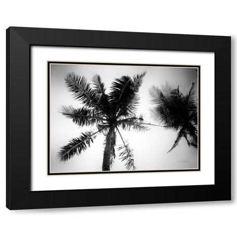 Palm Tree Looking Up II Black Modern Wood Framed Art Print with Double Matting by Van Swearingen, Debra