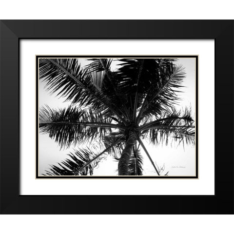 Palm Tree Looking Up III Black Modern Wood Framed Art Print with Double Matting by Van Swearingen, Debra
