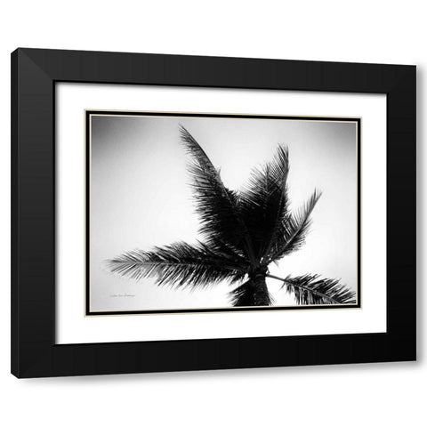 Palm Tree Looking Up IV Black Modern Wood Framed Art Print with Double Matting by Van Swearingen, Debra
