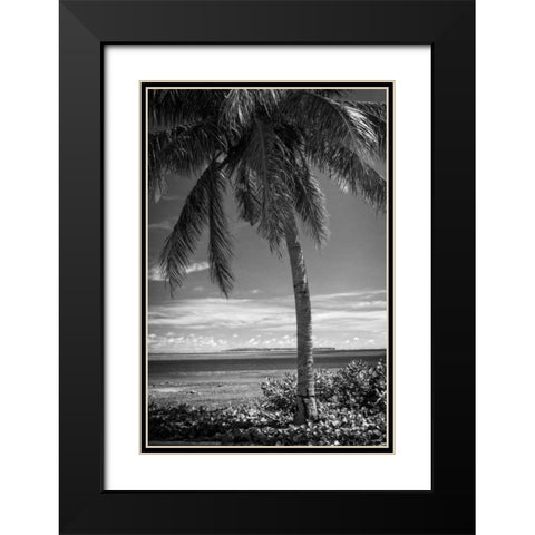 Ocean View Black Modern Wood Framed Art Print with Double Matting by Van Swearingen, Debra