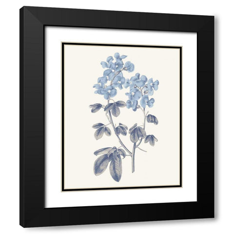Blue Botanical III Black Modern Wood Framed Art Print with Double Matting by Wild Apple Portfolio