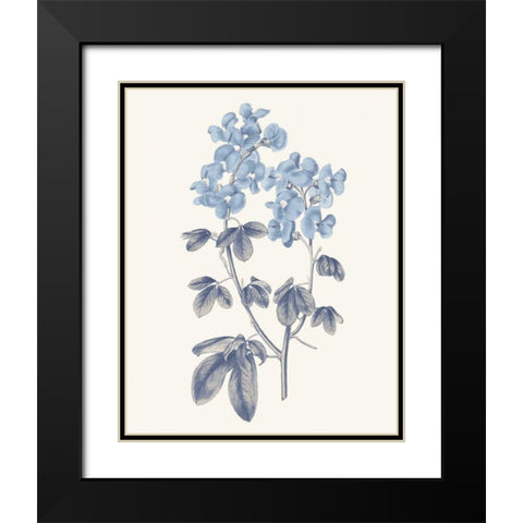 Blue Botanical III Black Modern Wood Framed Art Print with Double Matting by Wild Apple Portfolio