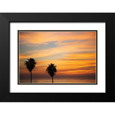Sunset Palms III Black Modern Wood Framed Art Print with Double Matting by Marshall, Laura