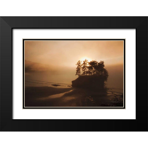 Last Light Black Modern Wood Framed Art Print with Double Matting by Marshall, Laura