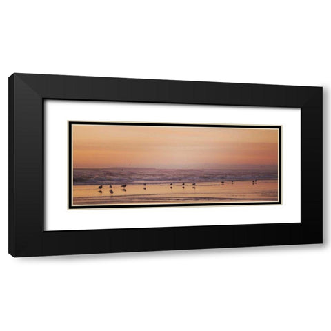 Kalaloch Birds V Black Modern Wood Framed Art Print with Double Matting by Marshall, Laura