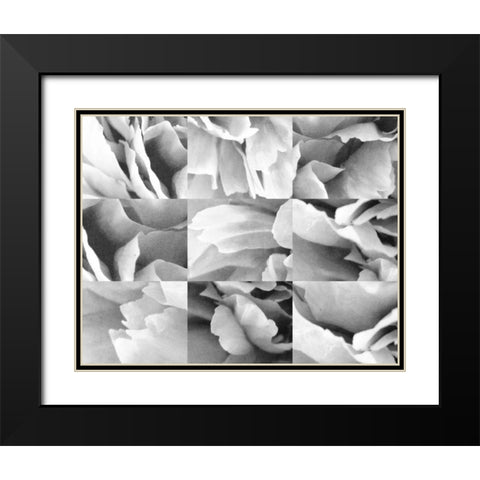 Dreamy Peony Collage Black Modern Wood Framed Art Print with Double Matting by Wild Apple Portfolio