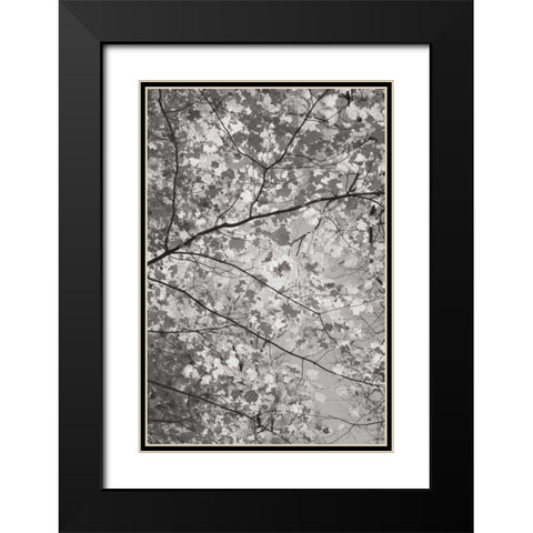 Foliage I Black Modern Wood Framed Art Print with Double Matting by Majchrowicz, Alan