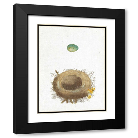 Spring Nest I Black Modern Wood Framed Art Print with Double Matting by Wild Apple Portfolio