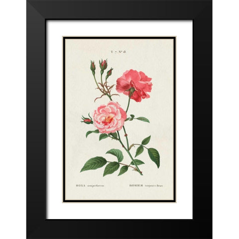 Rosa Black Modern Wood Framed Art Print with Double Matting by Wild Apple Portfolio