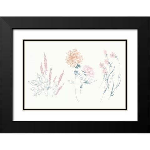 Flowers on White VIII Contemporary Black Modern Wood Framed Art Print with Double Matting by Wild Apple Portfolio