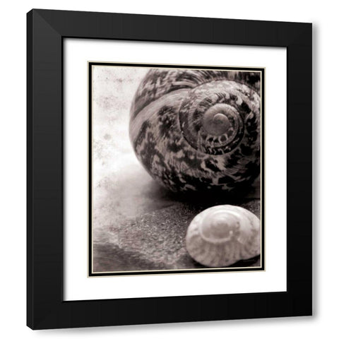 New Discoveries No Border Black Modern Wood Framed Art Print with Double Matting by Schlabach, Sue