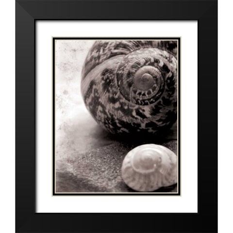 New Discoveries No Border Black Modern Wood Framed Art Print with Double Matting by Schlabach, Sue