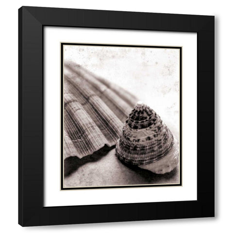 Gifts From the Sea No Border Black Modern Wood Framed Art Print with Double Matting by Schlabach, Sue