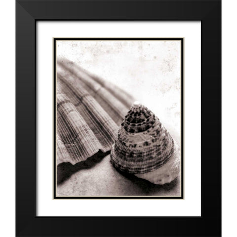 Gifts From the Sea No Border Black Modern Wood Framed Art Print with Double Matting by Schlabach, Sue