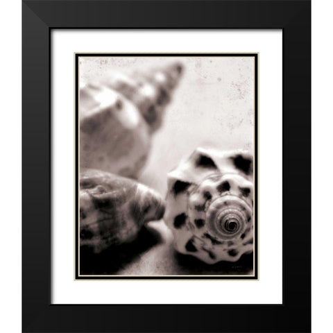 Beach Dreams Shells No Border Black Modern Wood Framed Art Print with Double Matting by Schlabach, Sue