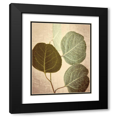 Eucalyptus Color Black Modern Wood Framed Art Print with Double Matting by Van Swearingen, Debra
