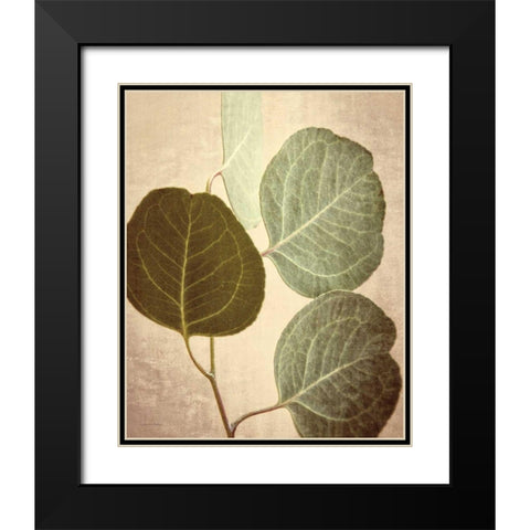 Eucalyptus Color Black Modern Wood Framed Art Print with Double Matting by Van Swearingen, Debra
