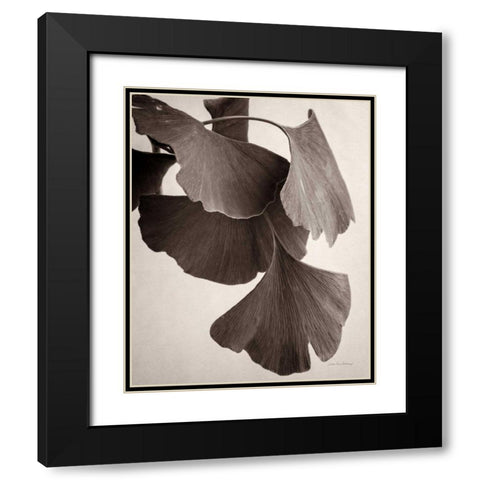 Gingko Sepia Black Modern Wood Framed Art Print with Double Matting by Van Swearingen, Debra