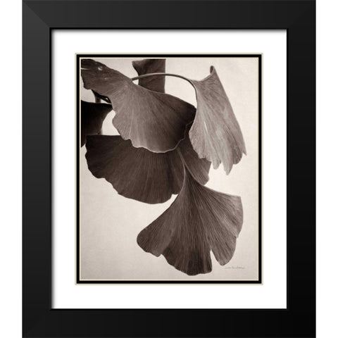 Gingko Sepia Black Modern Wood Framed Art Print with Double Matting by Van Swearingen, Debra