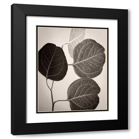 Eucalyptus Sepia Black Modern Wood Framed Art Print with Double Matting by Van Swearingen, Debra