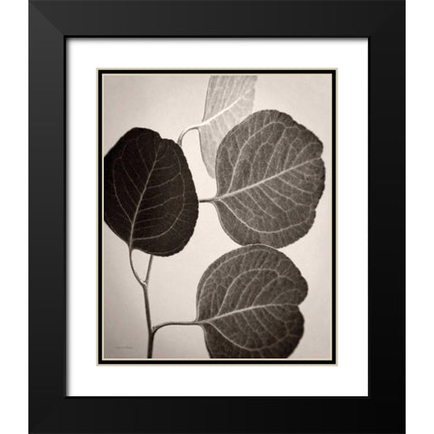 Eucalyptus Sepia Black Modern Wood Framed Art Print with Double Matting by Van Swearingen, Debra