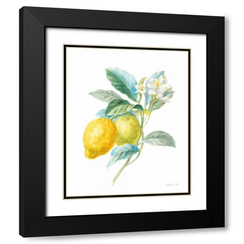 Floursack Lemon II on White Black Modern Wood Framed Art Print with Double Matting by Nai, Danhui