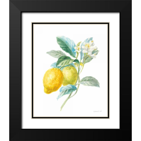 Floursack Lemon II on White Black Modern Wood Framed Art Print with Double Matting by Nai, Danhui