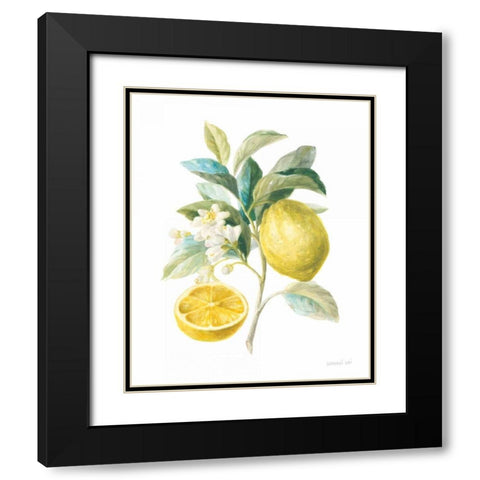 Floursack Lemon III on White Black Modern Wood Framed Art Print with Double Matting by Nai, Danhui