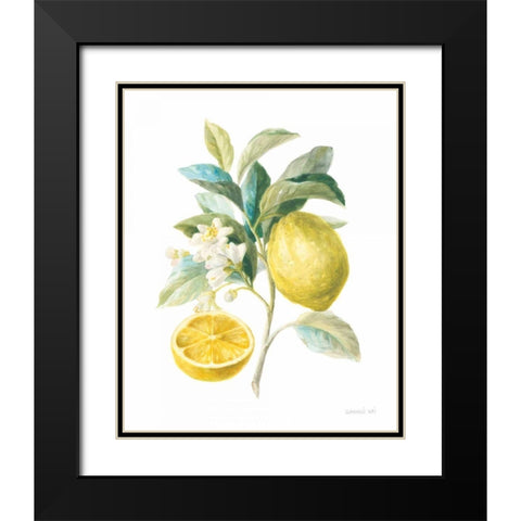 Floursack Lemon III on White Black Modern Wood Framed Art Print with Double Matting by Nai, Danhui